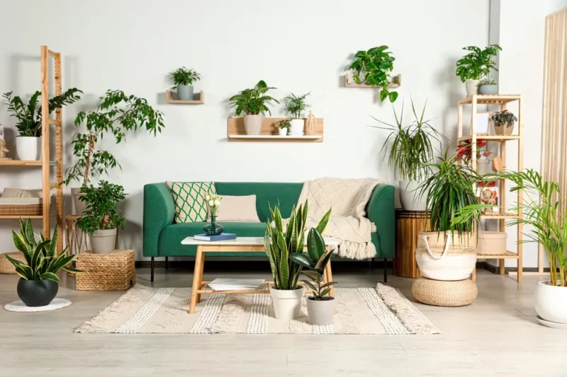 Intégrer plantes et matériaux bruts : nos conseils pour une décoration naturelle chez vous